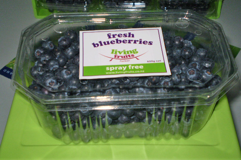 Living Fruits Kerikeri