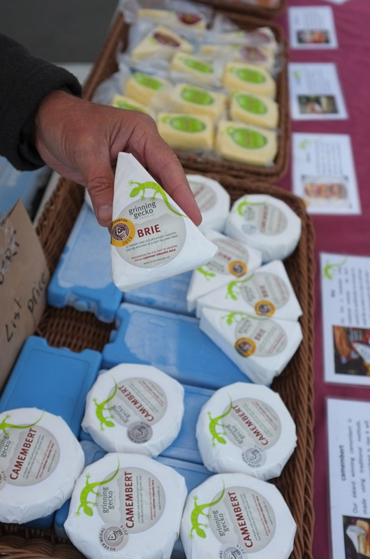Grinning Gecko Cheese Company