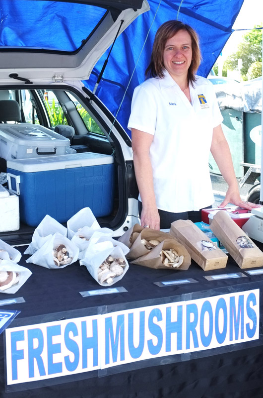 Mighty Mushrooms